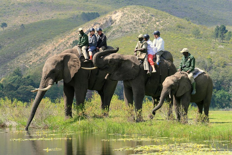 elephant-excursions