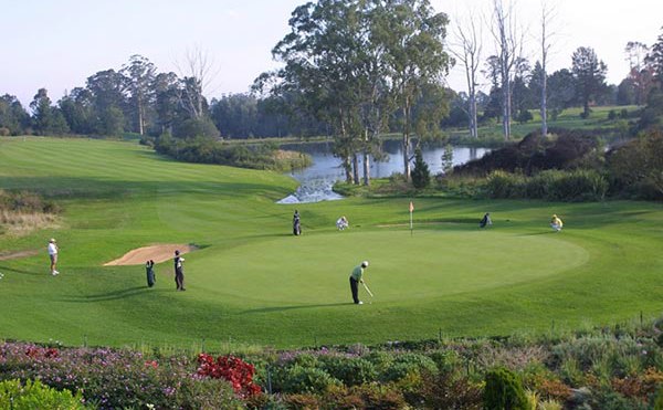 golfing